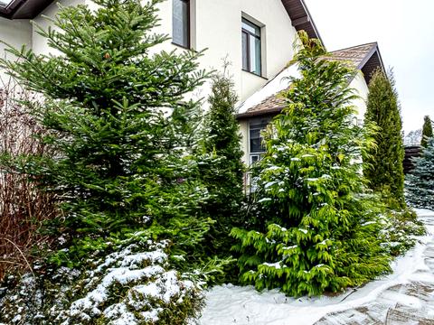 дом по адресу Київська вул.