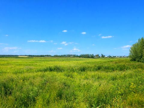 ділянка за адресою Бровари, 