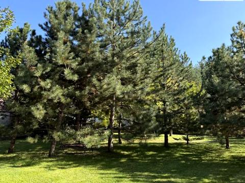 будинок за адресою смт. Козин, Київська вул.