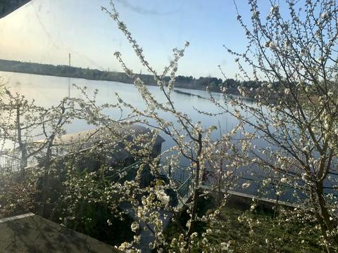 дом по адресу Київська ул.