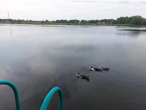 дом по адресу Київська ул.