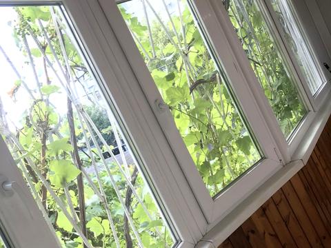 квартира за адресою Одеса, Педагогічна вул., 18