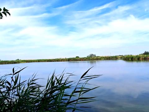 будинок за адресою Рибальска