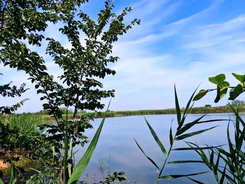 будинок за адресою Рибальска