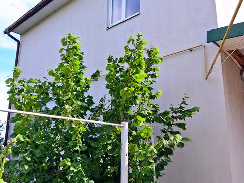 будинок за адресою Рибальска