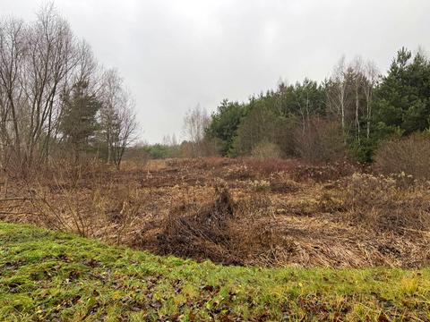 ділянка за адресою Лісна