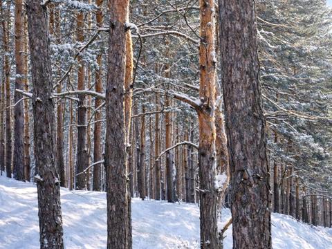 будинок за адресою Бучанське шосе