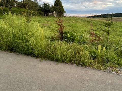 участок по адресу 