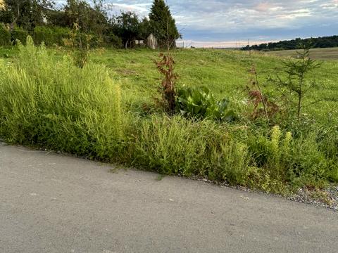 участок по адресу 