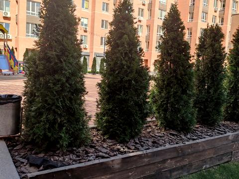 квартира по адресу Мира просп., 2-К