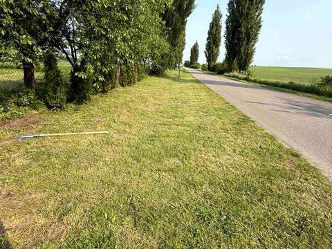 ділянка за адресою Вербова