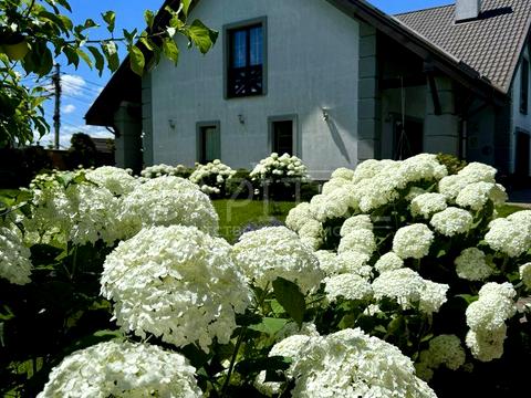 будинок за адресою Васильків, Івана Мазепи вул. (Ворошилова)