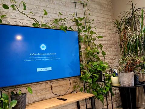 квартира за адресою Микільсько-Ботанічна вул., 17/4