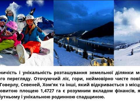 ділянка за адресою с. Яблуниця, Урочище Діл