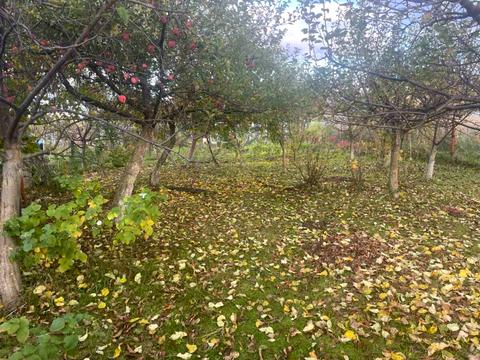 участок по адресу 