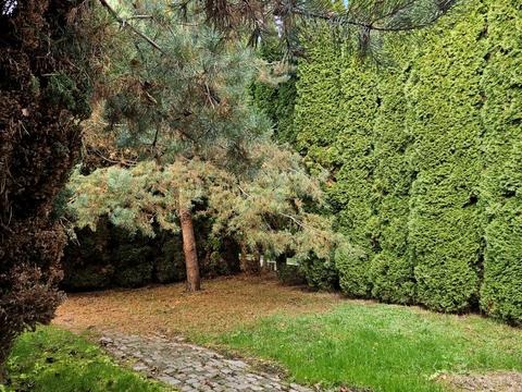 будинок за адресою Тараса Шевченка вул.