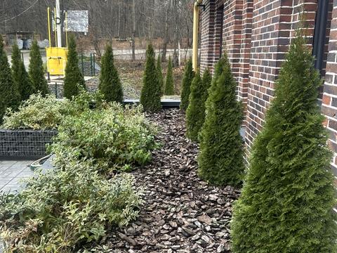 квартира за адресою Лісова вул., (Будинок)