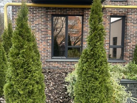 квартира за адресою Лісова вул., (Будинок)