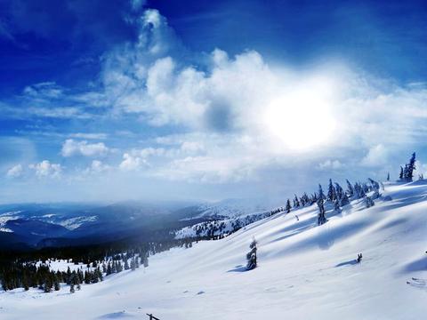 ділянка за адресою с. Яблуниця, Урочище Діл