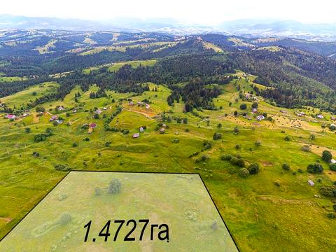 ділянка за адресою с. Яблуниця, Урочище Діл