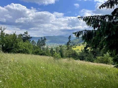 ділянка за адресою 