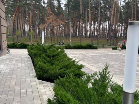 комерційна за адресою Університетська вул., 3/7