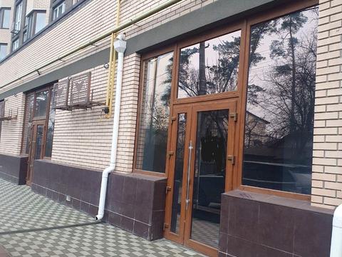 комерційна за адресою Василя Стуса вул. (Пушкінська), 64/68