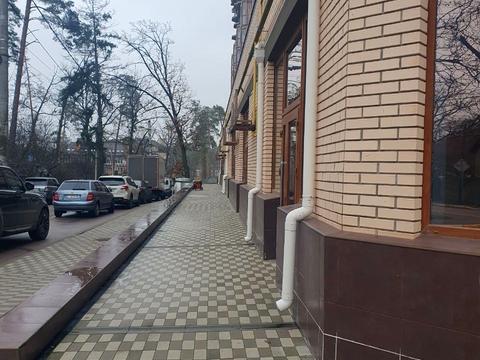 комерційна за адресою Василя Стуса вул. (Пушкінська), 64/68