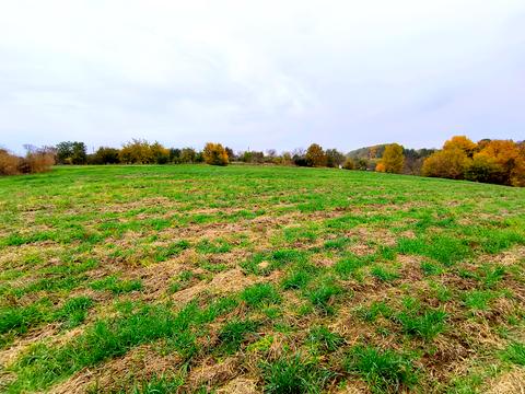 дом по адресу Садова