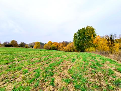 дом по адресу Садова