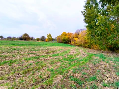 дом по адресу Садова