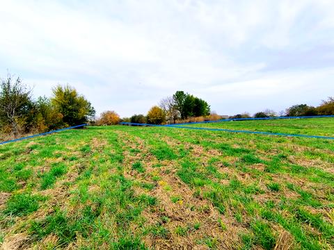 дом по адресу Садова