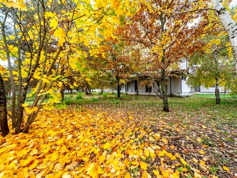 будинок за адресою Дмитрівська