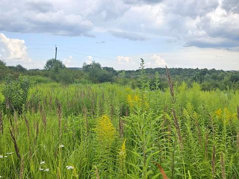 участок по адресу 