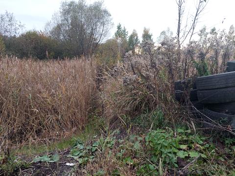 комерційна за адресою Берегова вул., 1