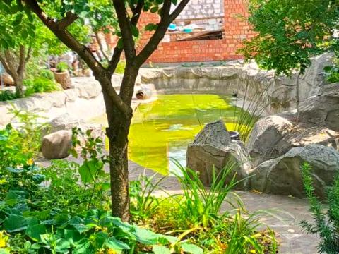 будинок за адресою Різдвяна вул. (Леніна)