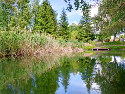 участок по адресу 