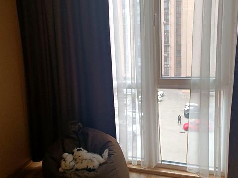 квартира за адресою Набережна Перемоги вул., 44