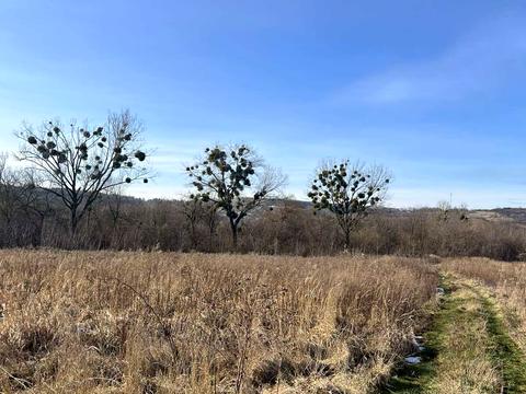 участок по адресу 