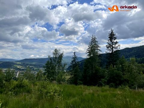 участок по адресу с. Микуличин, 