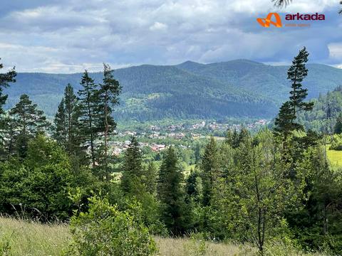 участок по адресу с. Микуличин, 