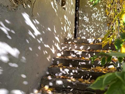 будинок за адресою Абрикосова вул., 2