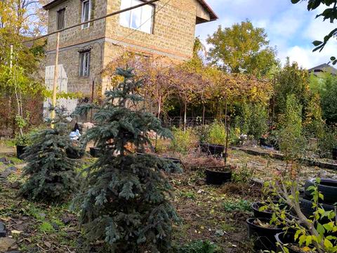 будинок за адресою Абрикосова вул., 2