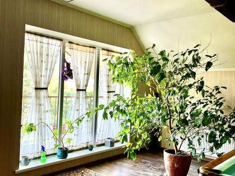 будинок за адресою Щаслива, 26