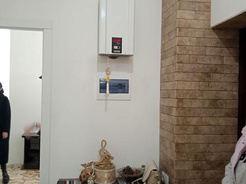 квартира по адресу Университетская ул. (Елисаветинская), 11