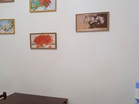 квартира по адресу Университетская ул. (Елисаветинская), 11