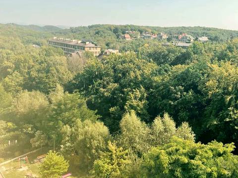 квартира за адресою Лисеницька вул., 19-Б