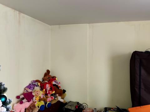 квартира по адресу Владислава Бувалкина ул. (Бочарова Генерала), 49-А