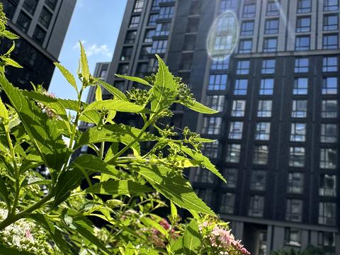 квартира за адресою Дніпро, Первозванівська вул., 22-А