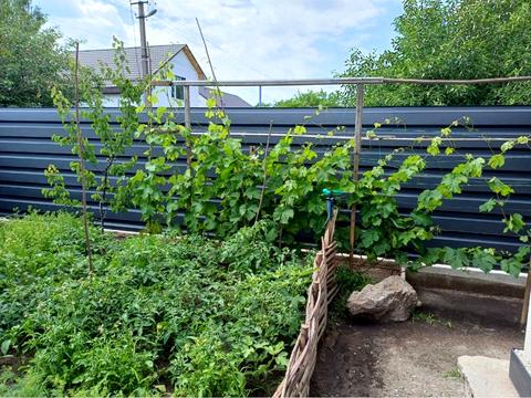 дом по адресу Волкова Сержанта ул.